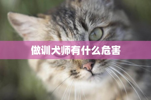做訓犬師有什么危害