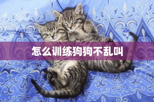 怎么訓練狗狗不亂叫