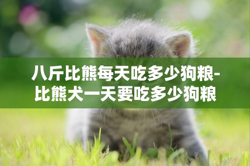 八斤比熊每天吃多少狗糧-比熊犬一天要吃多少狗糧