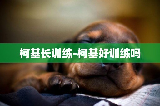 柯基長訓練-柯基好訓練嗎
