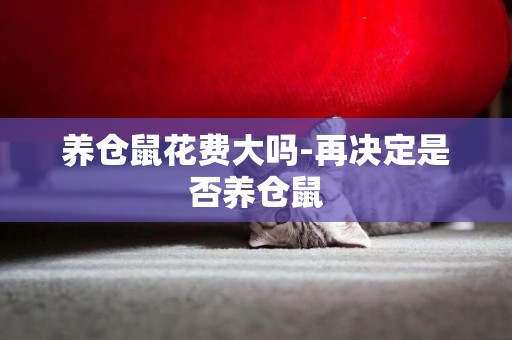 養倉鼠花費大嗎-再決定是否養倉鼠