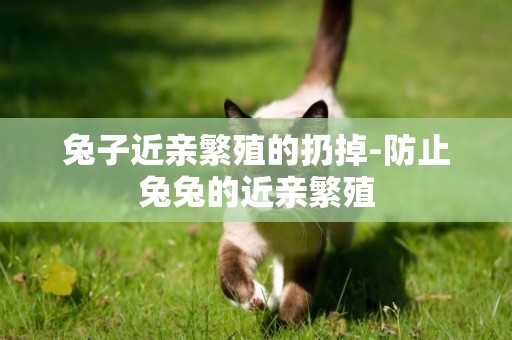 兔子近親繁殖的扔掉-防止兔兔的近親繁殖