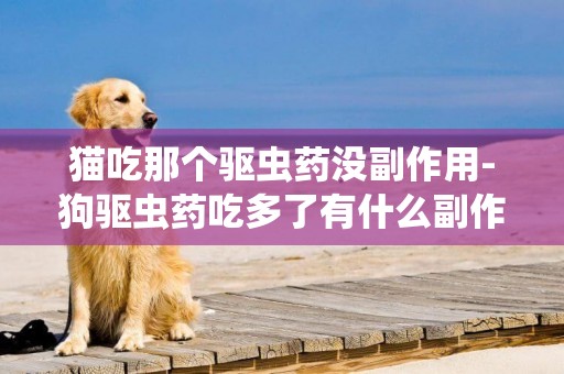 貓吃那個驅蟲藥沒副作用-狗驅蟲藥吃多了有什么副作用