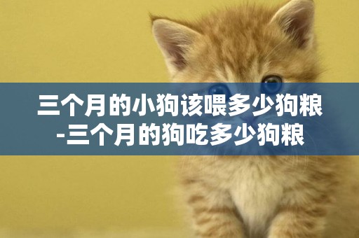 三個月的小狗該喂多少狗糧-三個月的狗吃多少狗糧
