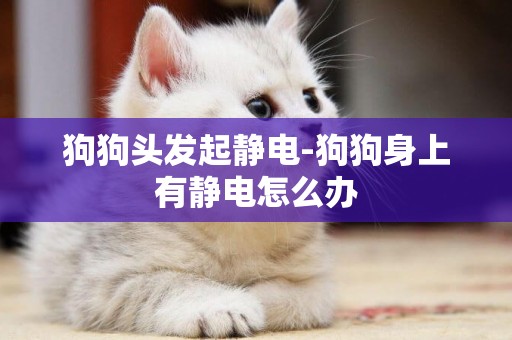 狗狗頭發起靜電-狗狗身上有靜電怎么辦