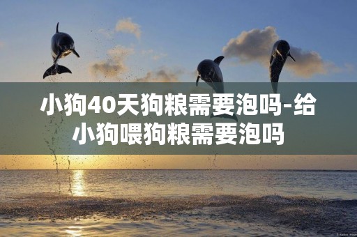 小狗40天狗糧需要泡嗎-給小狗喂狗糧需要泡嗎