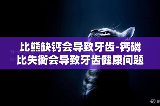 比熊缺鈣會導致牙齒-鈣磷比失衡會導致牙齒健康問題嗎