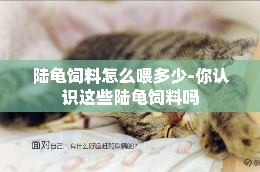 陸龜飼料怎么喂多少-你認識這些陸龜飼料嗎