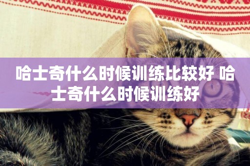 哈士奇什么時候訓練比較好 哈士奇什么時候訓練好