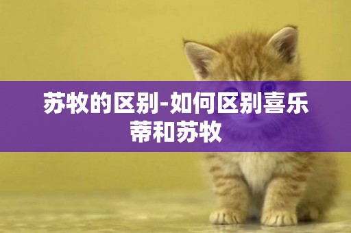 蘇牧的區別-如何區別喜樂蒂和蘇牧