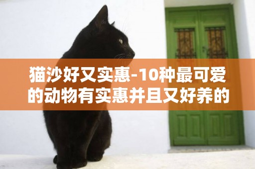 貓沙好又實惠-10種最可愛的動物有實惠并且又好養的動物