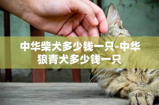 中華柴犬多少錢一只-中華狼青犬多少錢一只