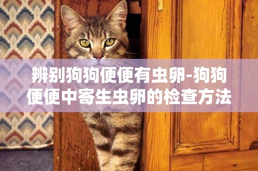 辨別狗狗便便有蟲卵-狗狗便便中寄生蟲卵的檢查方法