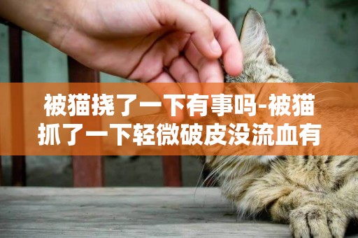 被貓撓了一下有事嗎-被貓抓了一下輕微破皮沒流血有事嗎