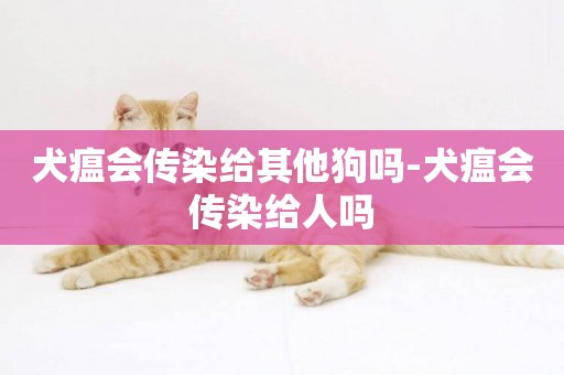 犬瘟會傳染給其他狗嗎-犬瘟會傳染給人嗎