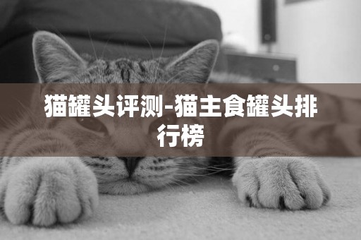 貓罐頭評測-貓主食罐頭排行榜