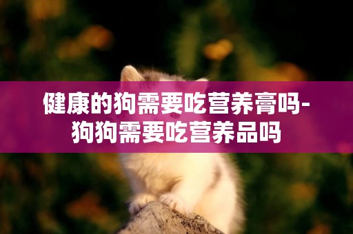 健康的狗需要吃營養膏嗎-狗狗需要吃營養品嗎