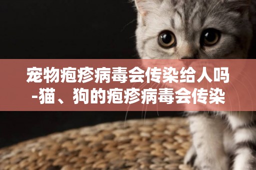 寵物皰疹病毒會傳染給人嗎-貓、狗的皰疹病毒會傳染給人嗎
