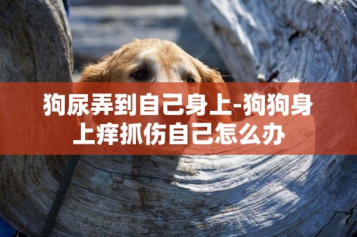 狗尿弄到自己身上-狗狗身上癢抓傷自己怎么辦