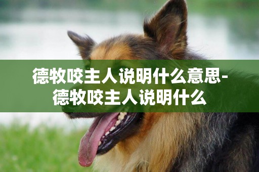 德牧咬主人說明什么意思-德牧咬主人說明什么
