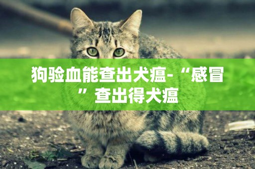 狗驗血能查出犬瘟-“感冒”查出得犬瘟