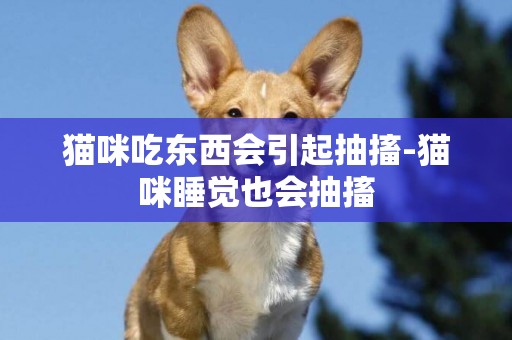 貓咪吃東西會引起抽搐-貓咪睡覺也會抽搐