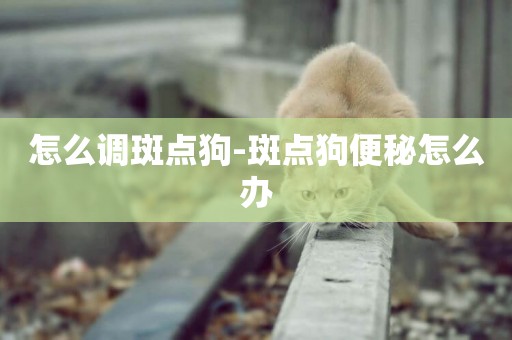 怎么調斑點狗-斑點狗便秘怎么辦