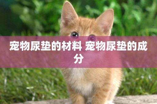 寵物尿墊的材料 寵物尿墊的成分