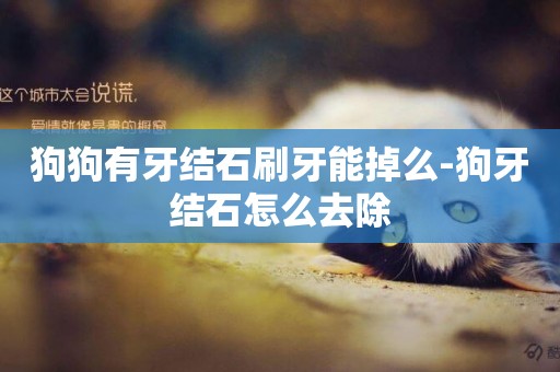 狗狗有牙結石刷牙能掉么-狗牙結石怎么去除
