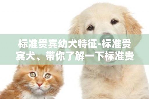 標準貴賓幼犬特征-標準貴賓犬、帶你了解一下標準貴賓犬的特征與價格