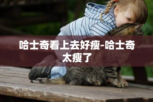 哈士奇看上去好瘦-哈士奇太瘦了