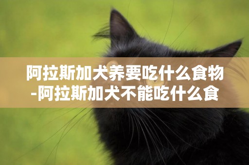阿拉斯加犬養要吃什么食物-阿拉斯加犬不能吃什么食物