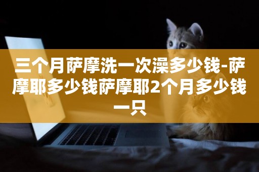 三個月薩摩洗一次澡多少錢-薩摩耶多少錢薩摩耶2個月多少錢一只