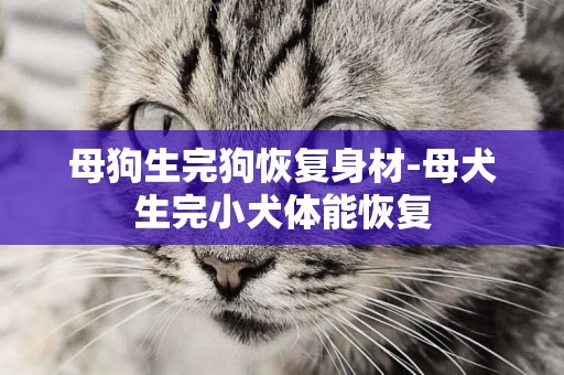 母狗生完狗恢復身材-母犬生完小犬體能恢復