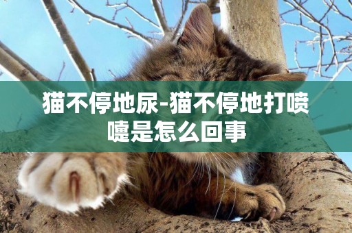 貓不停地尿-貓不停地打噴嚏是怎么回事