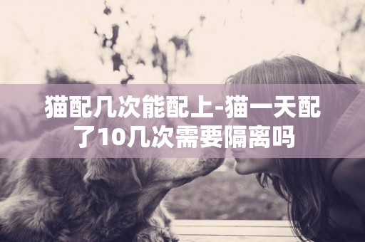 貓配幾次能配上-貓一天配了10幾次需要隔離嗎