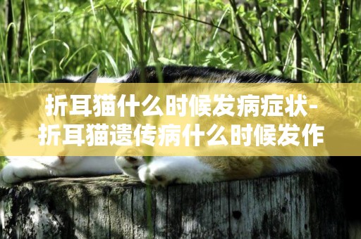 折耳貓什么時候發病癥狀-折耳貓遺傳病什么時候發作