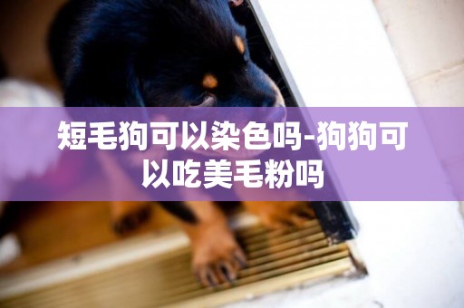 短毛狗可以染色嗎-狗狗可以吃美毛粉嗎