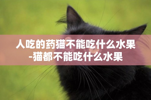 人吃的藥貓不能吃什么水果-貓都不能吃什么水果