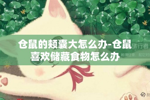 倉鼠的頰囊大怎么辦-倉鼠喜歡儲藏食物怎么辦