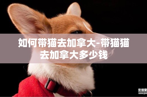 如何帶貓去加拿大-帶貓貓去加拿大多少錢