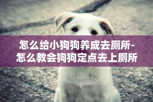 怎么給小狗狗養成去廁所-怎么教會狗狗定點去上廁所