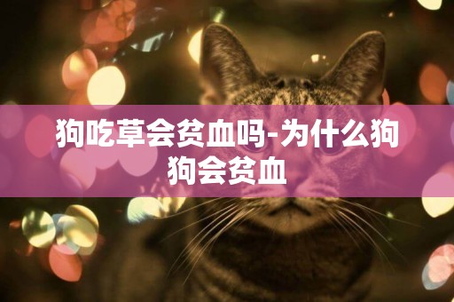 狗吃草會貧血嗎-為什么狗狗會貧血