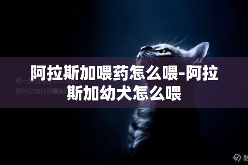 阿拉斯加喂藥怎么喂-阿拉斯加幼犬怎么喂