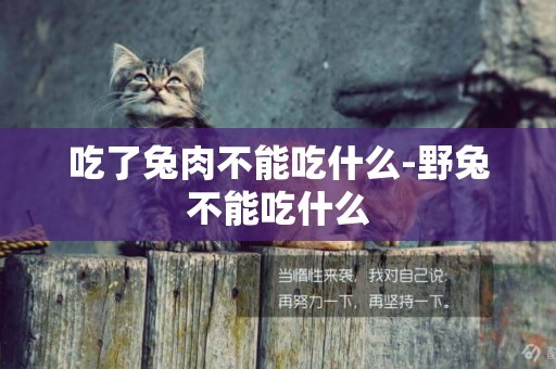 吃了兔肉不能吃什么-野兔不能吃什么