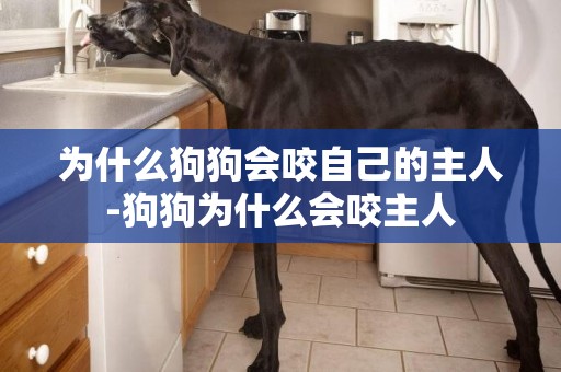 為什么狗狗會咬自己的主人-狗狗為什么會咬主人