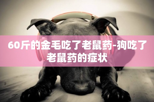 60斤的金毛吃了老鼠藥-狗吃了老鼠藥的癥狀
