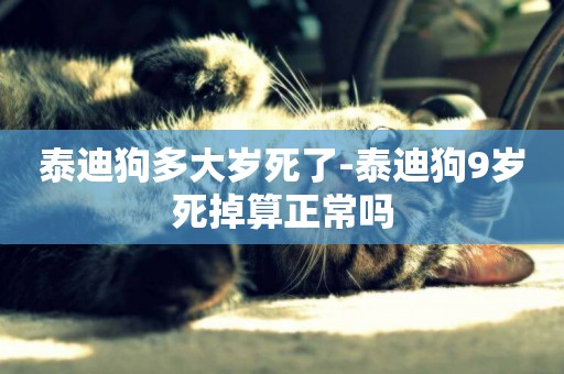 泰迪狗多大歲死了-泰迪狗9歲死掉算正常嗎