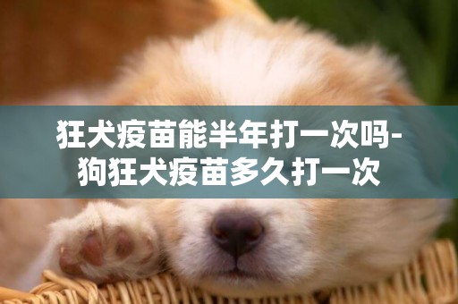 狂犬疫苗能半年打一次嗎-狗狂犬疫苗多久打一次