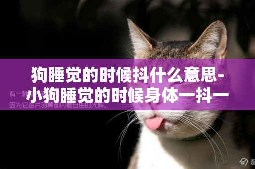 狗睡覺的時候抖什么意思-小狗睡覺的時候身體一抖一抖怎么回事